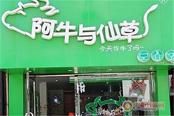 阿牛与仙草加盟